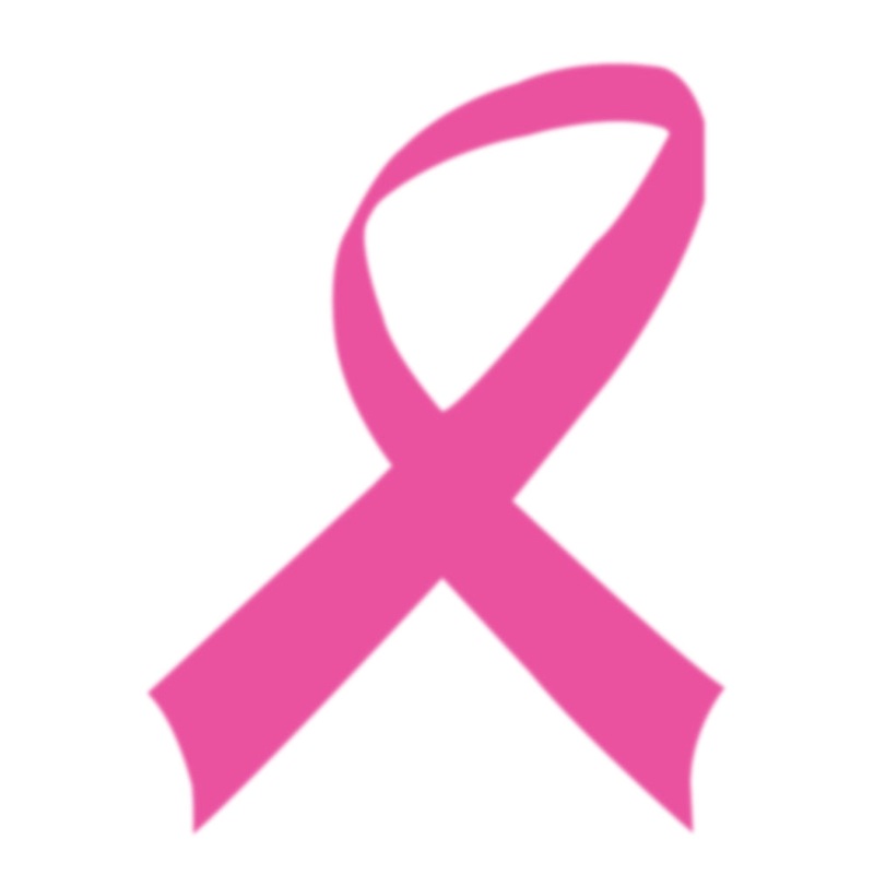 Breast Cancer Awareness Pink Ribbon Heat Transfers Pink One Size