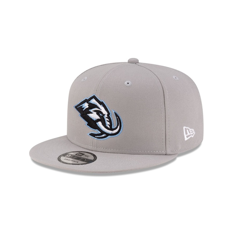Utah Mammoth Gray 9FIFTY Snapback Hat One Size