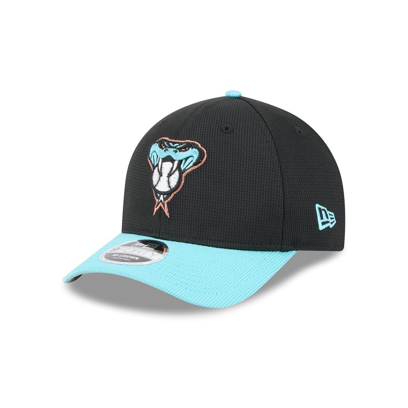 Arizona Diamondbacks 2025 Batting Practice 9FORTY M-Crown Snapback Hat One Size