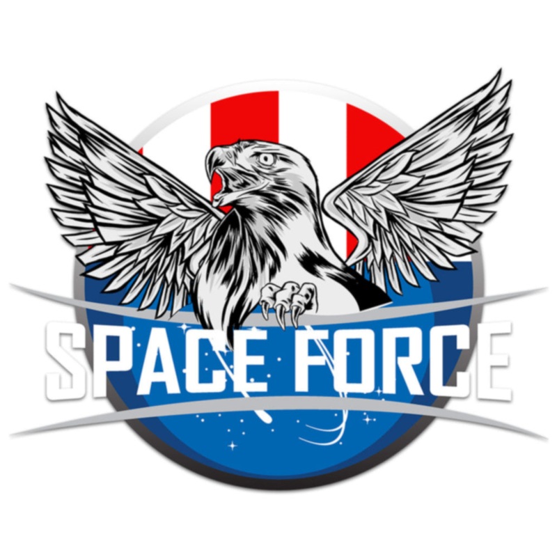 Black Space Force Eagle Default Title One Size
