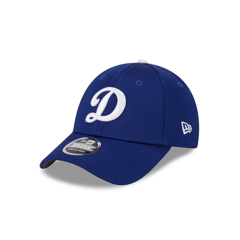 Los Angeles Dodgers 2025 Batting Practice Blue 9FORTY Stretch-Snap Hat One Size