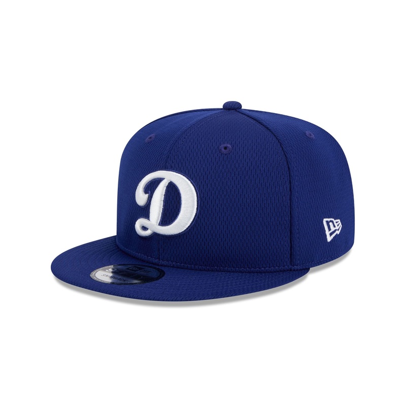 Los Angeles Dodgers 2025 Clubhouse Alt 9FIFTY Snapback Hat One Size