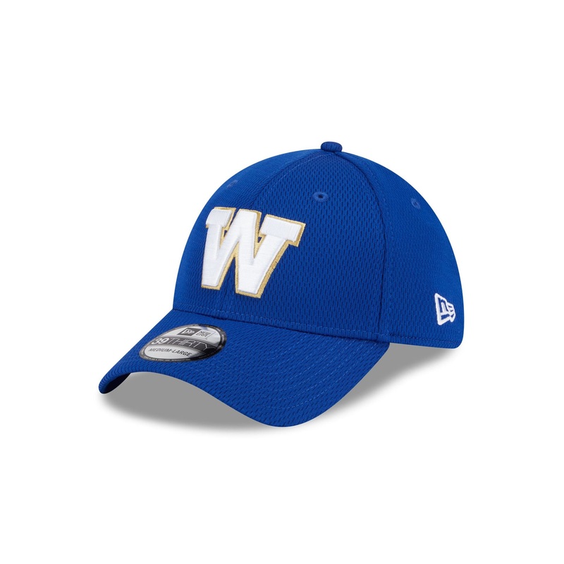 Winnipeg Blue Bombers Rear Wordmark 39THIRTY Stretch Fit Hat S/M