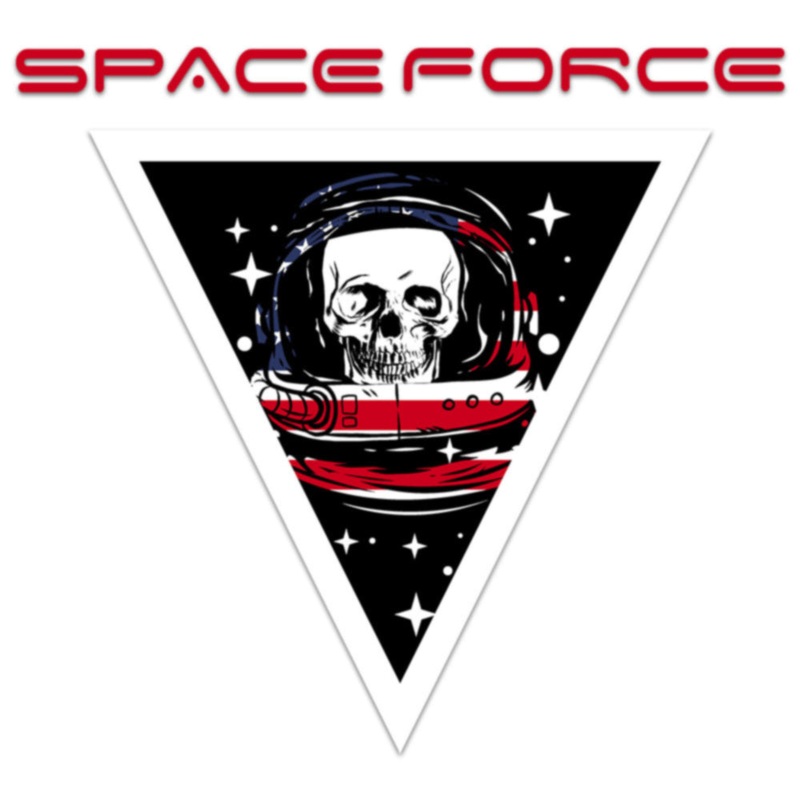 Yellow Space Force Skull Default Title One Size