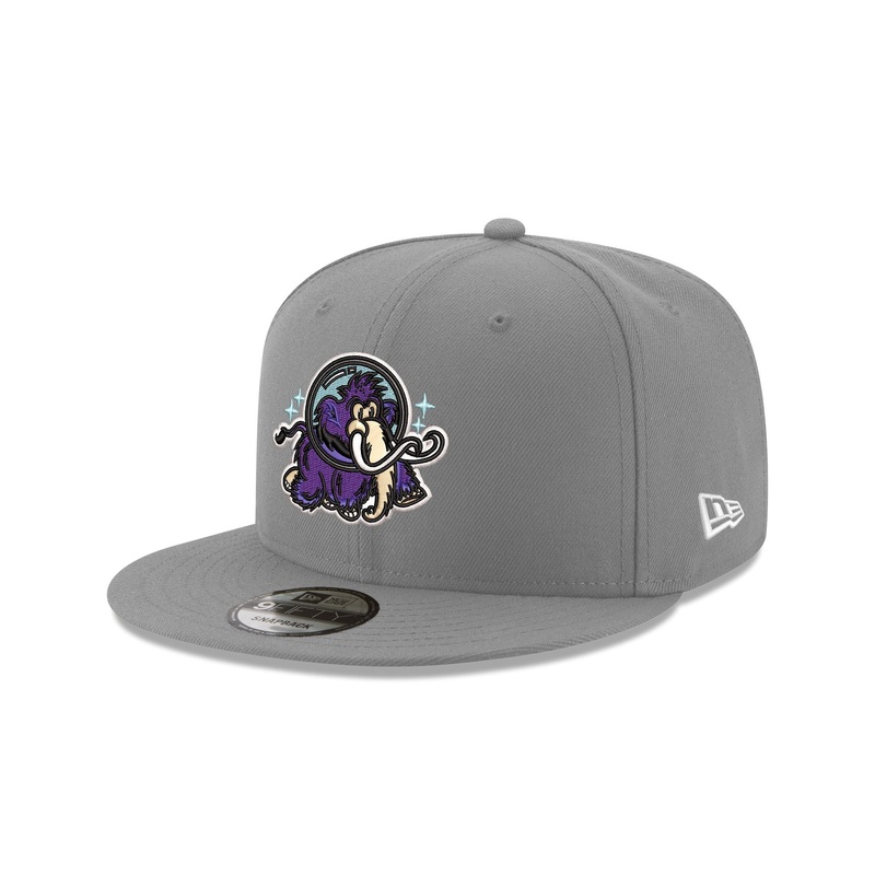 Erie Moon Mammoths Gray 9FIFTY Snapback Hat One Size