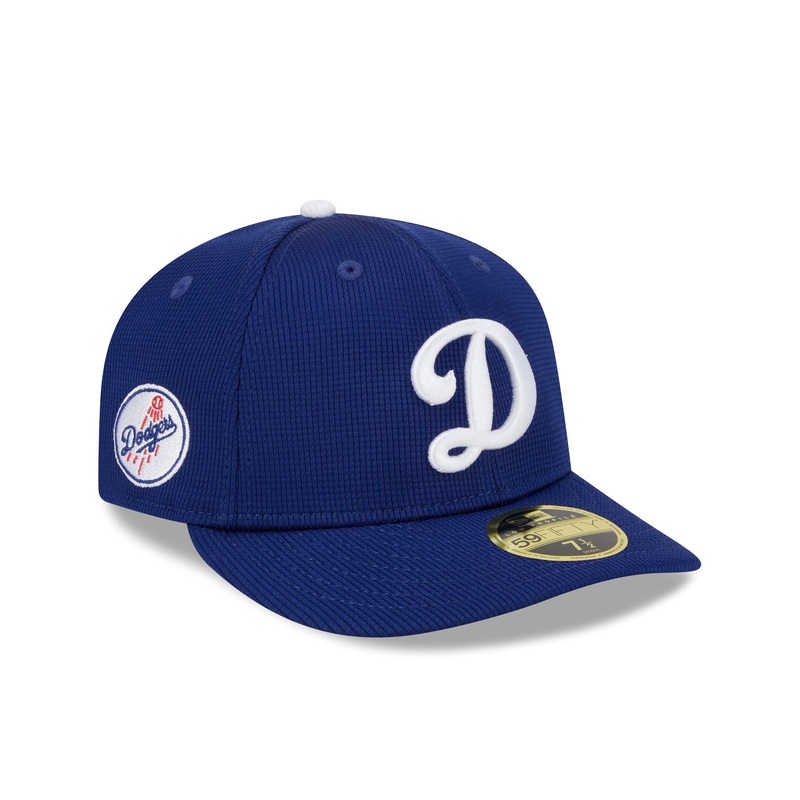 Los Angeles Dodgers 2025 Batting Practice Low Profile 59FIFTY Fitted 7