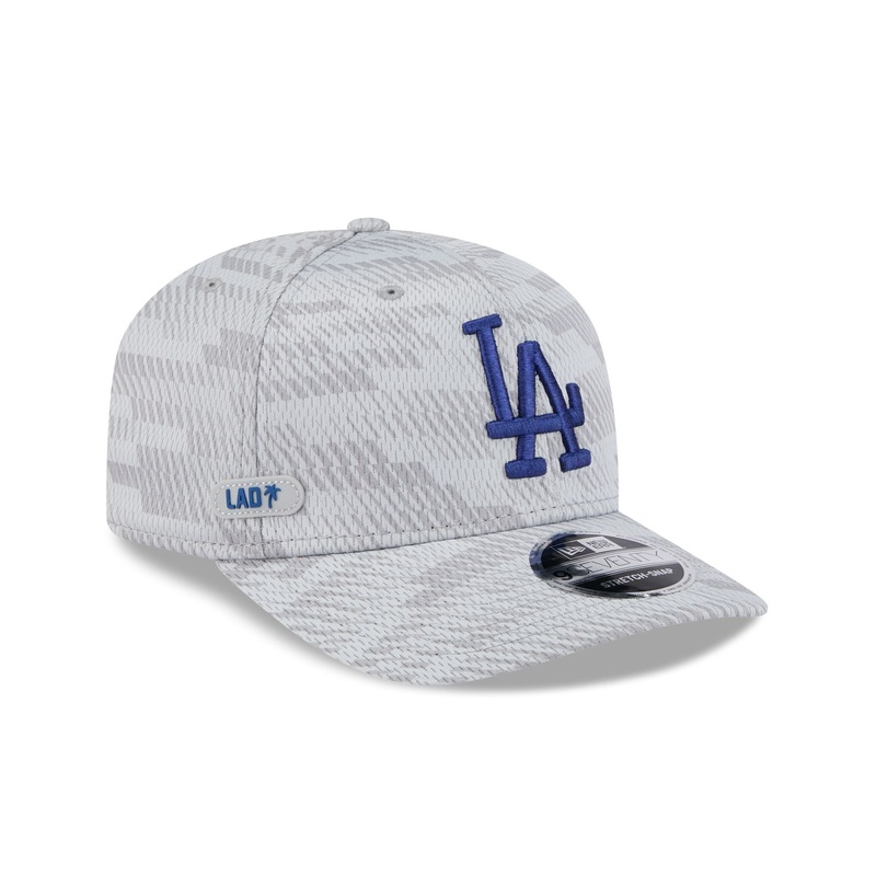 Los Angeles Dodgers 2025 Clubhouse Gray 9SEVENTY Stretch-Snap Hat One Size