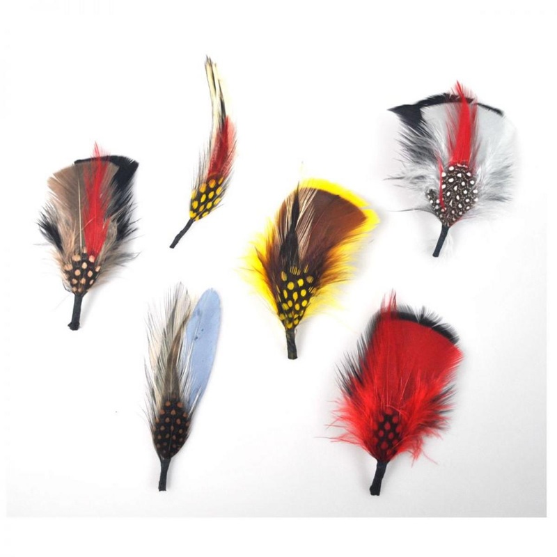 Classic Side Feather 6-Pack ASSORTED ASSORTED