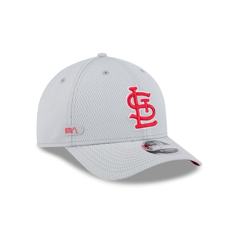 St. Louis Cardinals 2025 Clubhouse Gray 9FORTY M-Crown Snapback Hat One Size