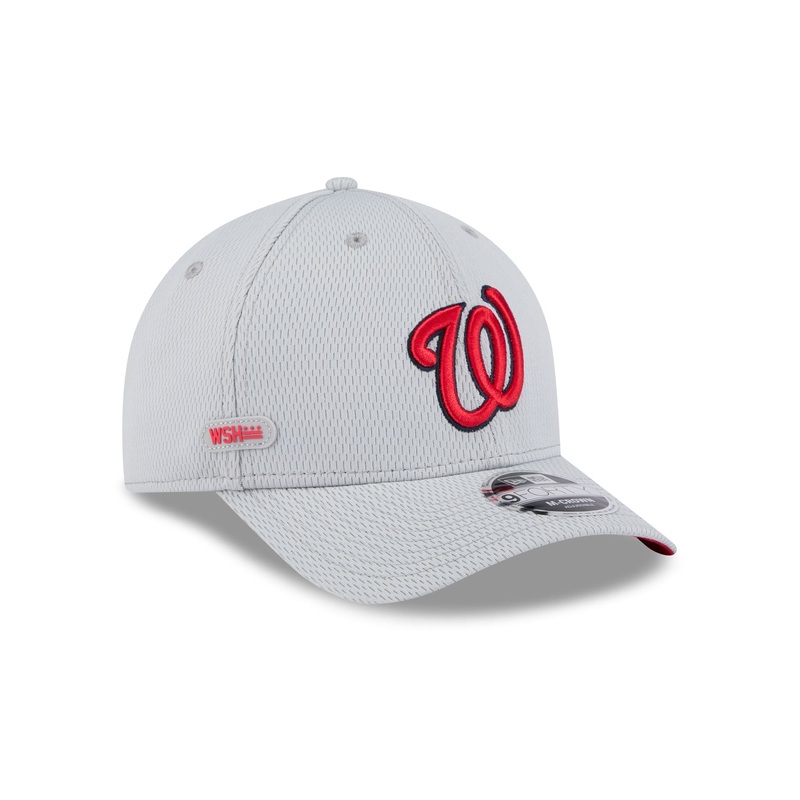 Washington Nationals 2025 Clubhouse Gray 9FORTY M-Crown Snapback Hat One Size