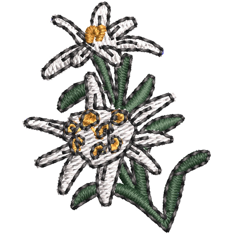 Switzerland Edelweiss Flower Switzerland Edelweiss Flower One Size
