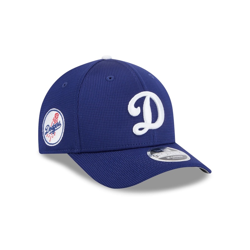 Los Angeles Dodgers 2025 Batting Practice 9FORTY M-Crown Snapback Hat One Size
