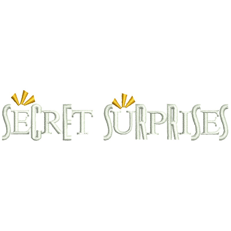 Secret Surprises Default Title One Size