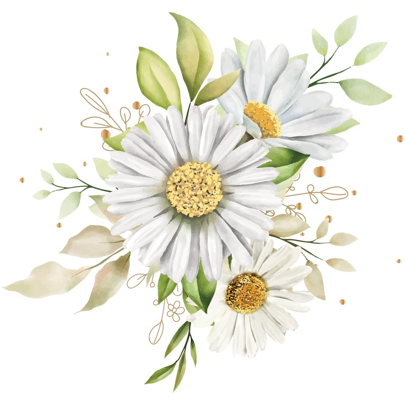Water Color Daisy Water Color Daisy One Size