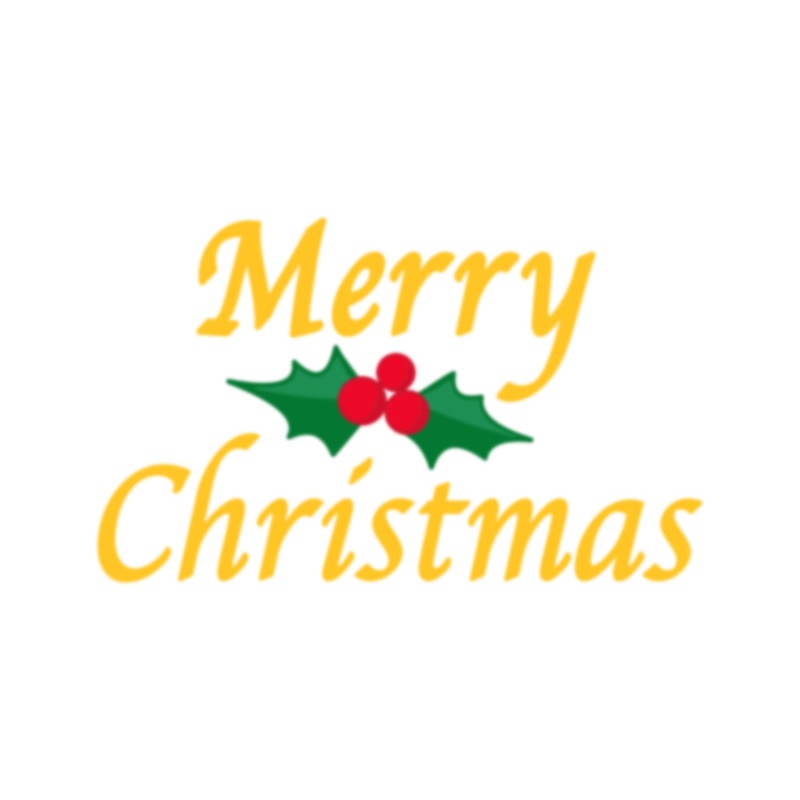 Merry Christmas Santa Hat and Mistletoe Heat Transfers Sticker Yellow Green One Size