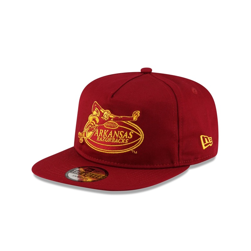 Arkansas Razorbacks College Vault Golfer One Size