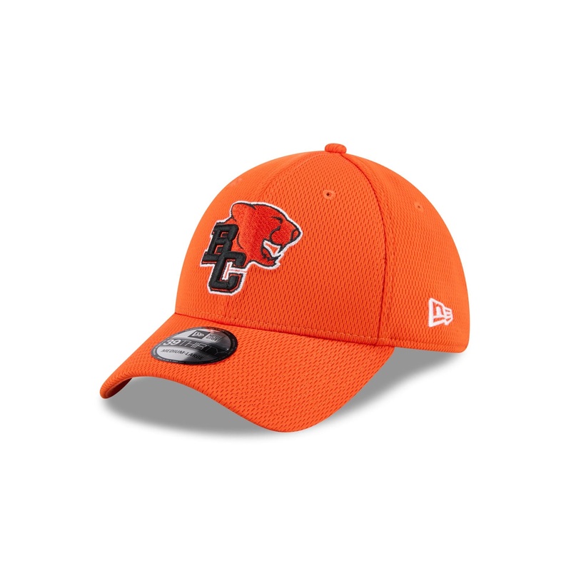 BC Lions Rear Wordmark 39THIRTY Stretch Fit Hat S/M