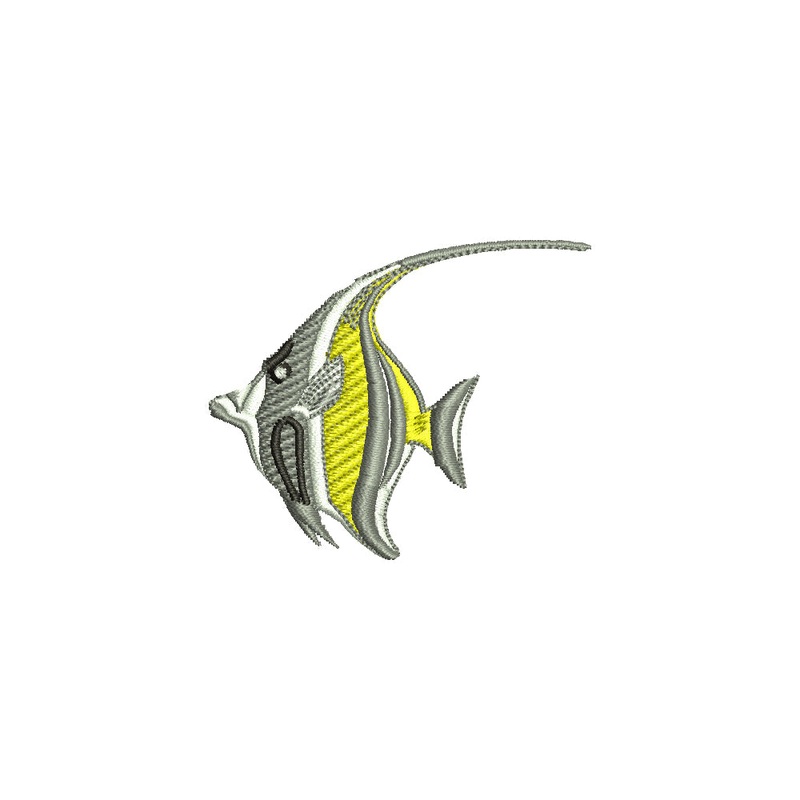 Angelfish Default Title One Size