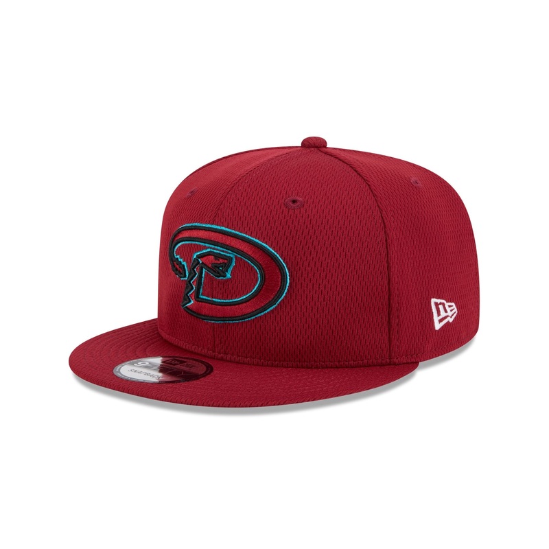 Arizona Diamondbacks 2025 Clubhouse Alt 9FIFTY Snapback Hat One Size
