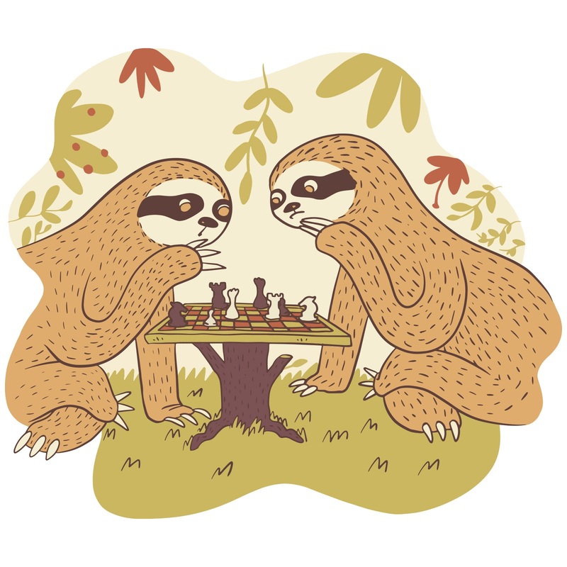 Slothy Chess Default Title One Size