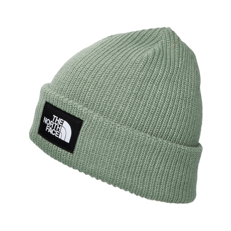 The North Face Hats Salty Lined Recycled Beanie Hat – Sage 1-Size