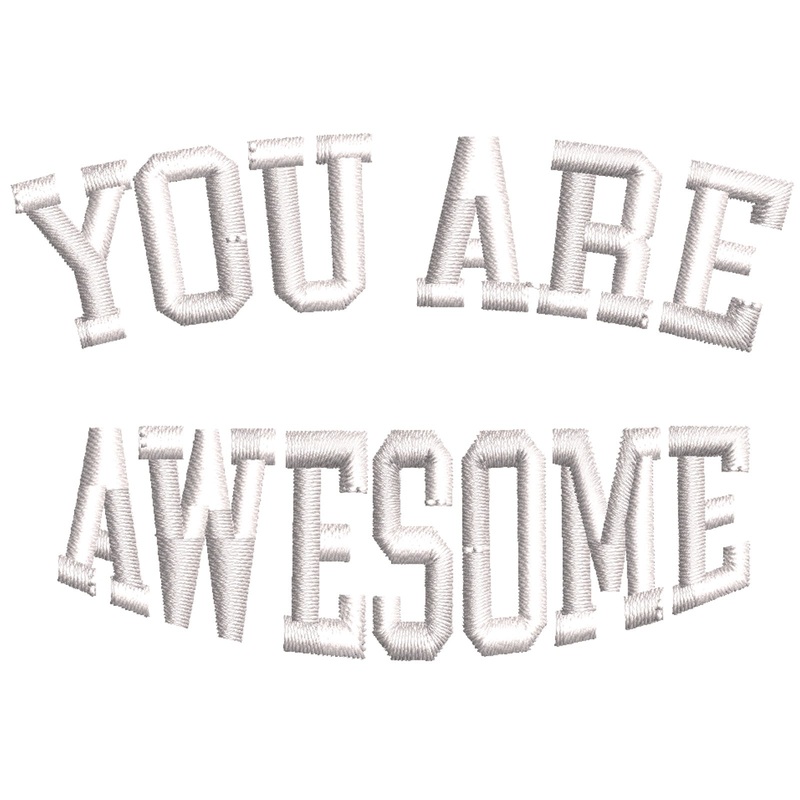 You Are Awesome Phrase You Are Awesome Phrase One Size
