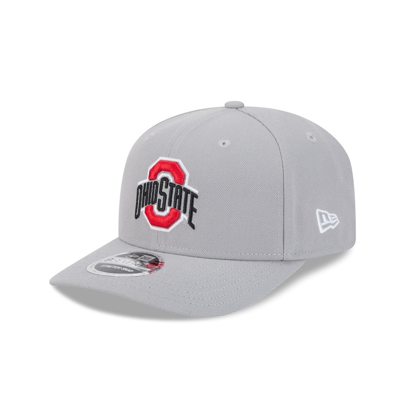 Ohio State Buckeyes Basic Gray 9SEVENTY Stretch-Snap Hat One Size