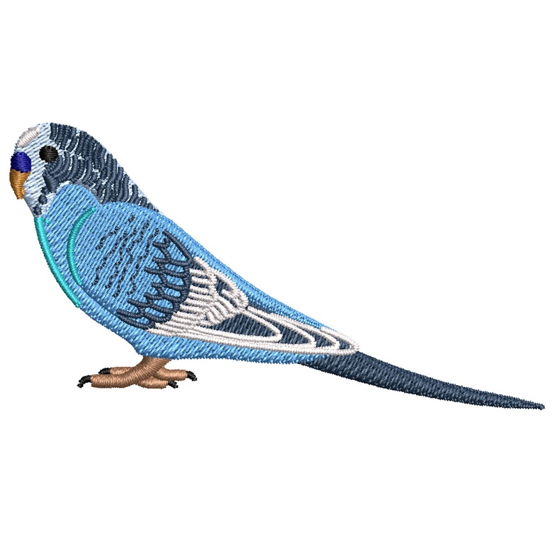 Parrot Bird Parrot Bird One Size