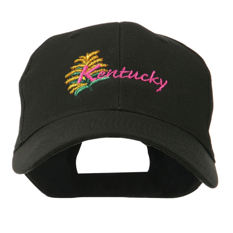 USA State Flower Kentucky Goldenrod Embroidered Cap Black One Size