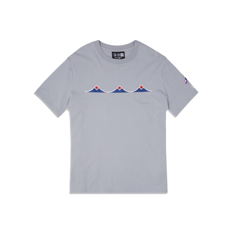 Atlanta Braves City Connect Gray T-Shirt S