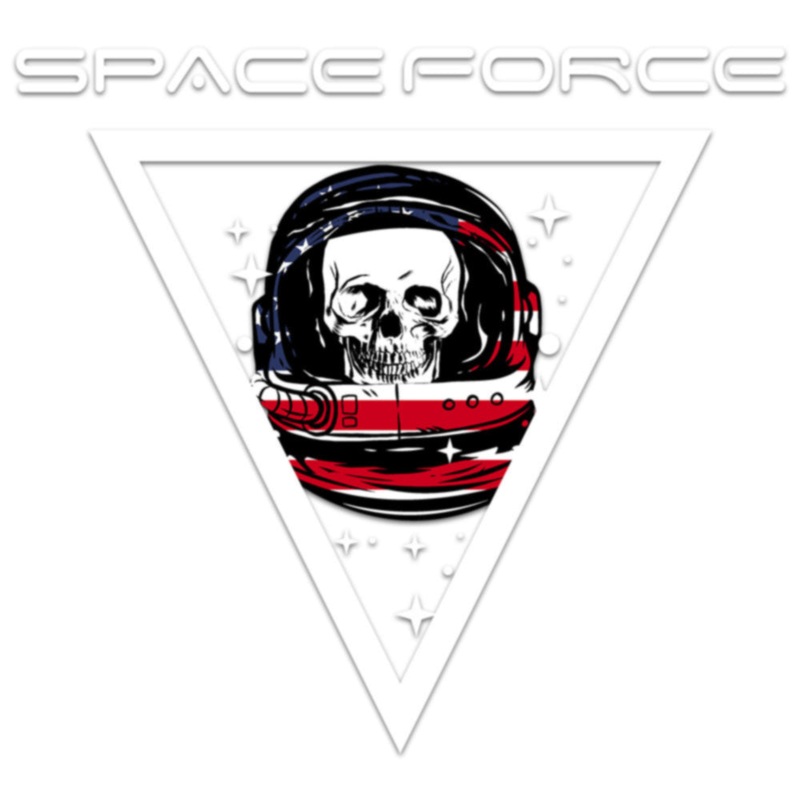 Black Space Force Skull Default Title One Size