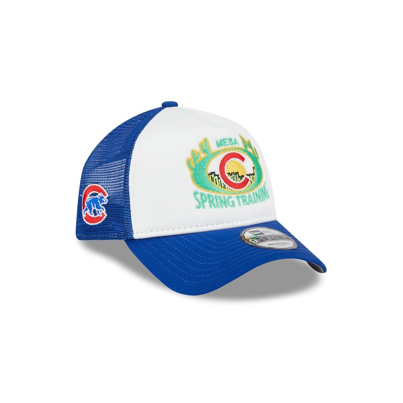 Chicago Cubs Spring Training 9FORTY A-Frame Trucker Hat One Size