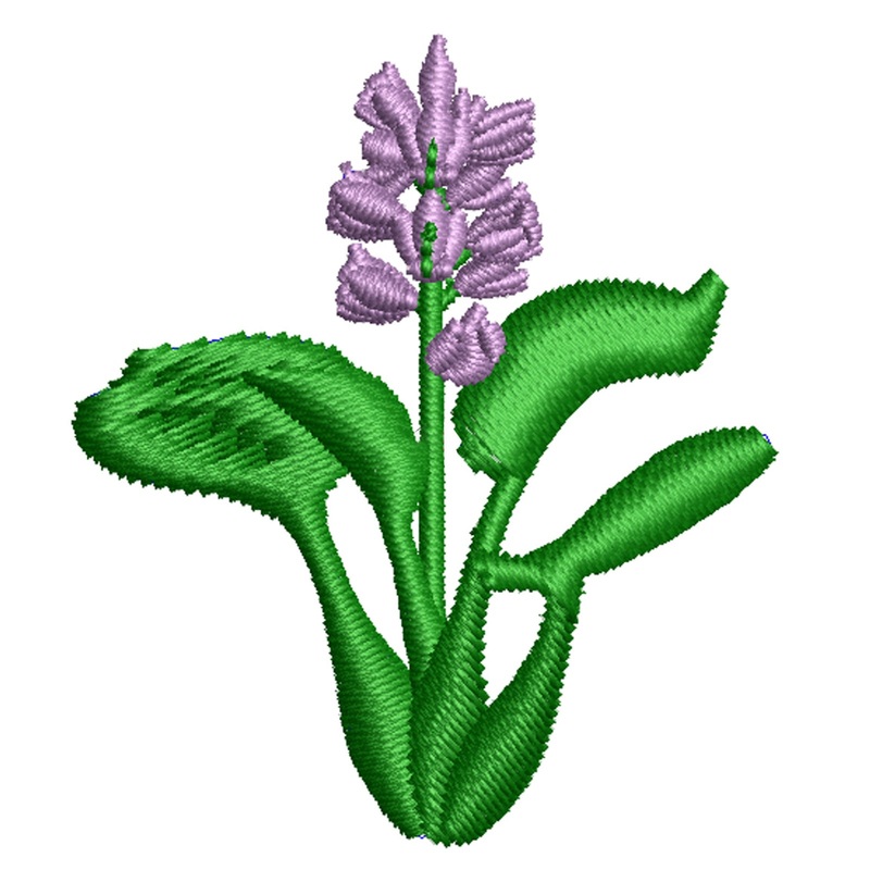 Water Hyacinth Water Hyacinth One Size