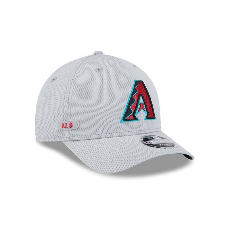 Arizona Diamondbacks 2025 Clubhouse Gray 9FORTY M-Crown Snapback Hat One Size