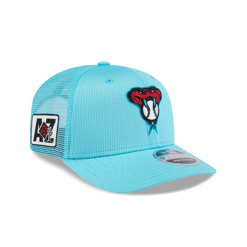 Arizona Diamondbacks 2025 Spring Training 9SEVENTY Trucker Hat One Size