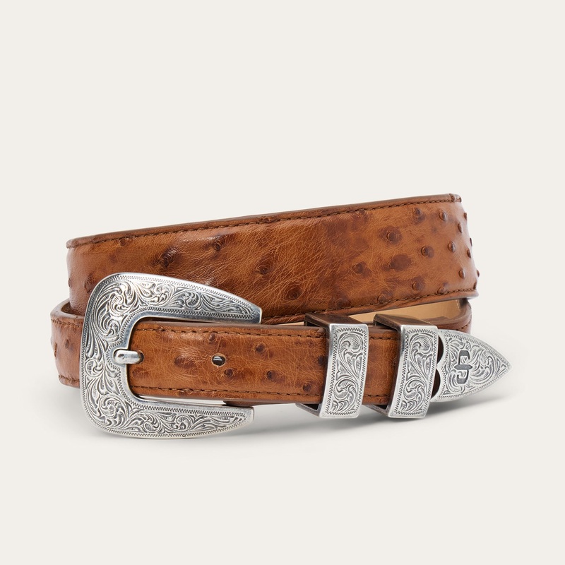 Ostrich Tapered Tab Belt Antique Cognac S