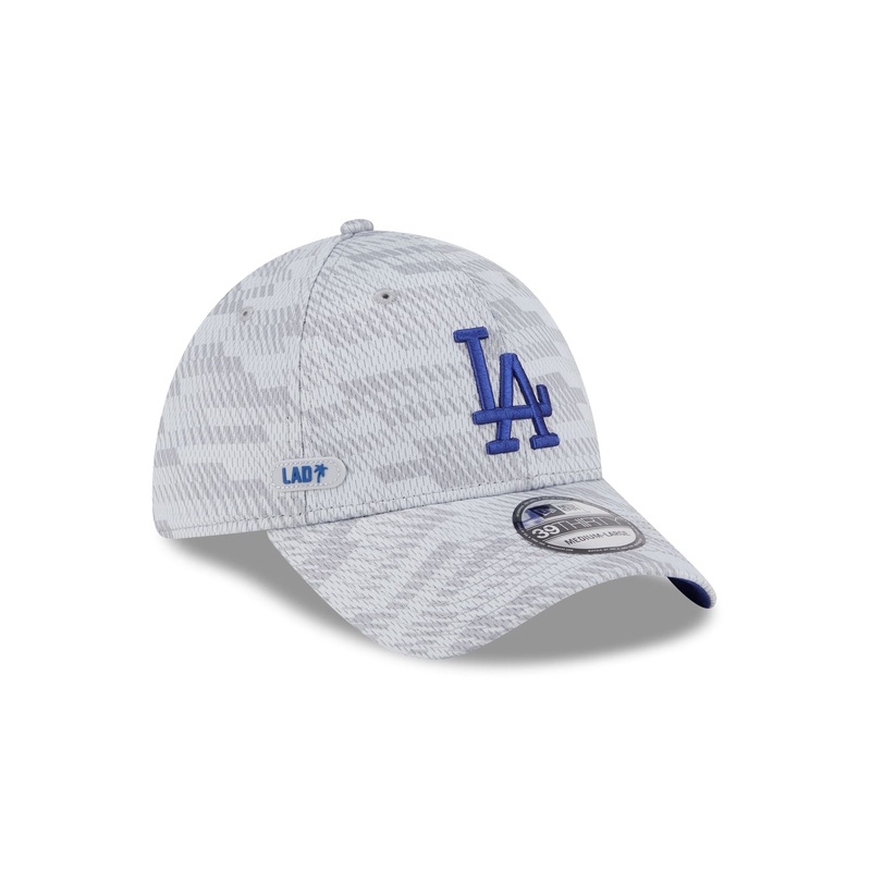 Los Angeles Dodgers 2025 Clubhouse Gray 39THIRTY Stretch Fit S/M
