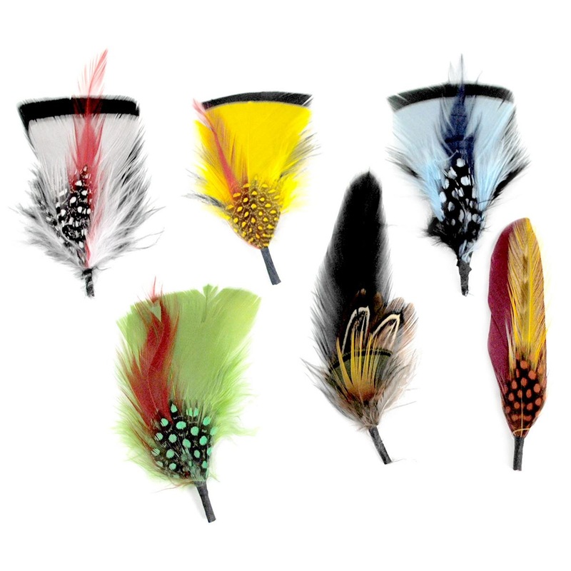 Dapper Side Feather 6-Pack ASSORTED ONE SIZE