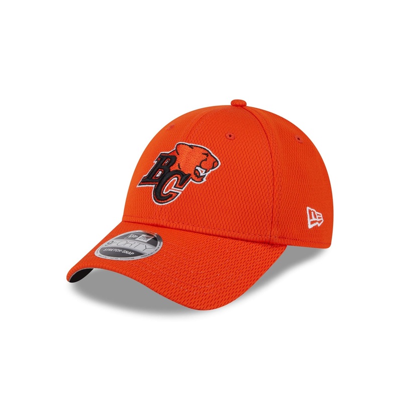 BC Lions Team 9FORTY Snapback Hat One Size