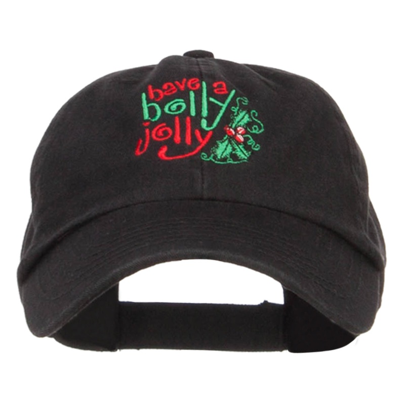 Have a Holly Jolly Embroidered Pet Spun Cap Black One Size
