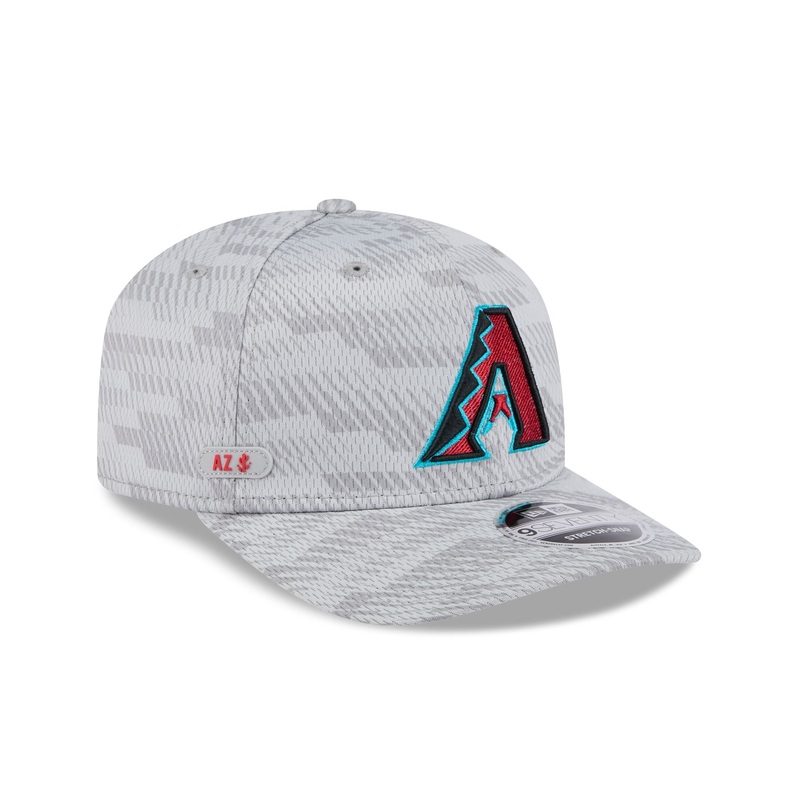 Arizona Diamondbacks 2025 Clubhouse Gray 9SEVENTY Stretch-Snap Hat One Size